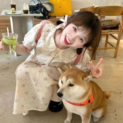 目标小姐 在线观看