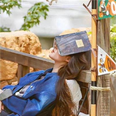 莫莱坞之神灯怪盗 在线观看